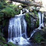 T6 Triberger Wasserfälle und Hexenloch